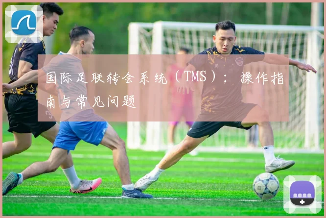 国际足联转会系统(TMS):操作指南与常见问题